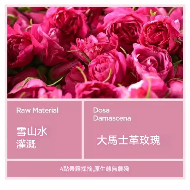 【楠陽艾】艾灸熱敷坐墊-專用替換內膽(草本熱敷墊  加熱墊 艾絨艾灸墊)