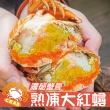 【鮮綠生活】爆卵熟凍大紅蟳 共3包(215g±10%/隻 2隻/包)
