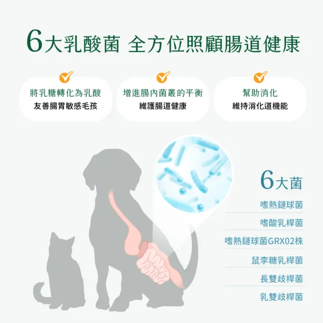【汪喵星球】汪喵星球ｘ馬修嚴選 機能優格丁22g*2包組(犬貓零食/貓零食/狗零食)