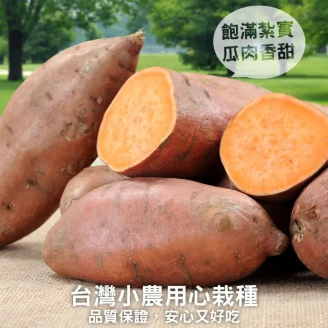 【WANG 蔬果】台農66號紅心地瓜5斤x1箱(農民直配)