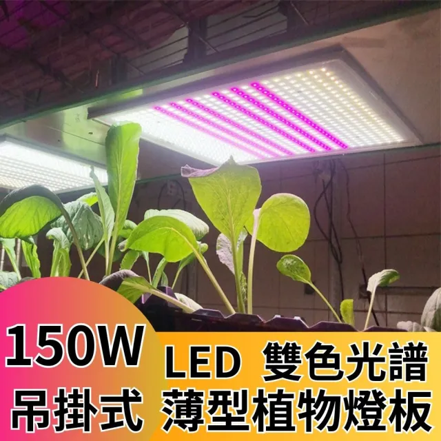 【JIUNPEY 君沛】LED150W薄型植物燈板 150瓦吊掛式 雙色光譜設計 有助於提高栽培效率(植物燈)