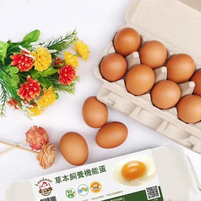 【咱兜ㄟ養雞場】草本DHA機能蛋/紅殼/100入團購優惠箱(機能蛋專家/平飼/永續農業)