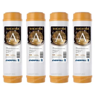 【EVERPOLL】標準10英吋 樹脂濾心 4入(EVB-M100A)