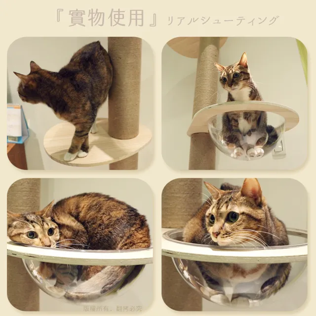 【貓本屋】加粗麻繩柱11cm太空艙實木通天柱貓跳台(最高277cm)