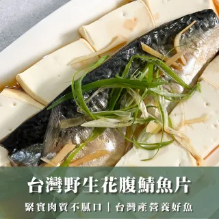台灣野生花腹鯖魚片