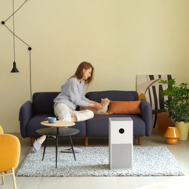 【小米】Xiaomi 空氣淨化器 4 Lite(原廠公司貨/一年保固/聯強代理/米家APP/清淨機/AC-M17-SC)