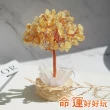【命運好好玩】湯鎮瑋-生財致富黃晶樹燈