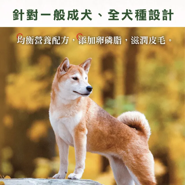 【Donna 多納】健康犬均衡配方牛肉/雞肉口味15kg 狗飼料(狗乾糧/犬糧/成犬飼料/大包裝狗飼料/官方直營)