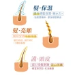 【古寶無患子】2盒入 草本護髮染髮霜 4色任選(榛果厚奶/亞麻茶棕/氣質黑茶/栗香摩卡)