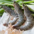 【鮮綠生活】嚴選特大生凍白蝦后 3盒(600g ±10%/盒/約14±3尾)