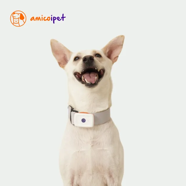 amicoipet寵物居家智能生理監測項圈組(無須接觸 積極監測 低功率雷達波)
