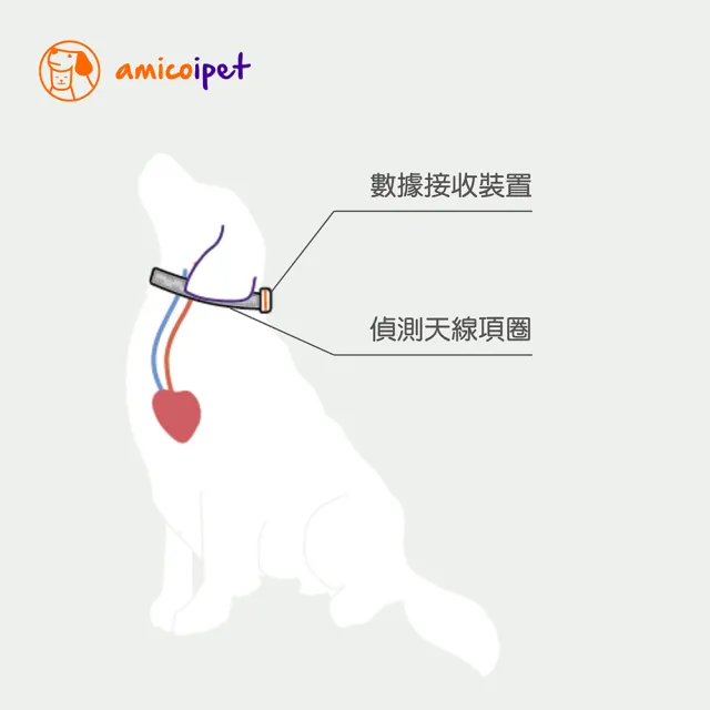 amicoipet寵物居家智能生理監測項圈組(無須接觸 積極監測 低功率雷達波)