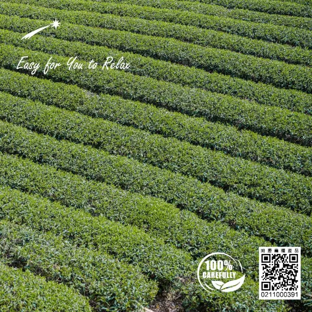 【EZR Leaf 一澤茶】嚴選純茶系列組22入/盒_附提袋(台灣好茶/原葉/立體茶包/送禮自用)