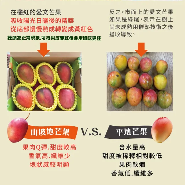 【初品果】枋山阿憲愛文芒果含箱重10斤12-16顆x2箱(外銷大果_山頂上的愛文芒果)