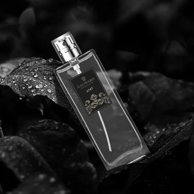 【PURESENCE 樸香氛】法國嘉莉瑪1747男士淡香精100ml(EDP 香水 柑苔調 木質調)