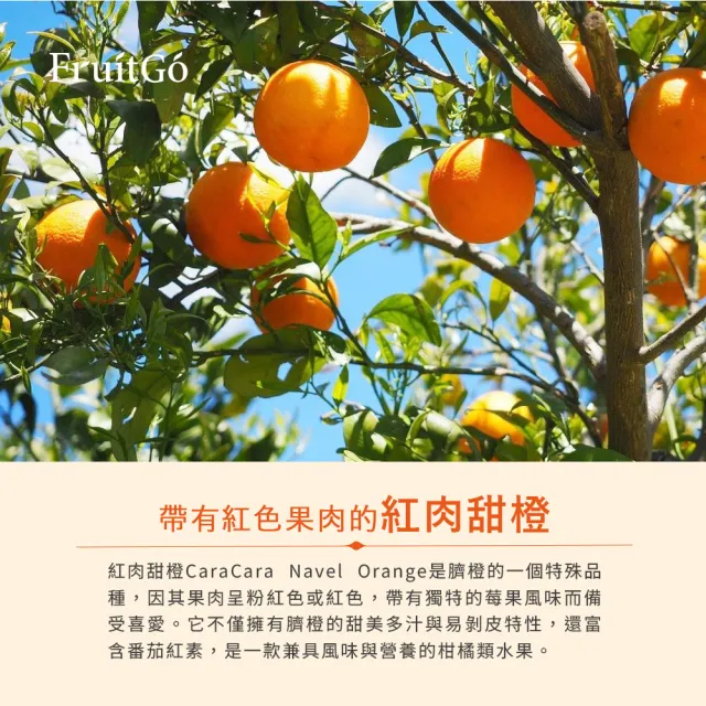 【FruitGo馥果】美國無籽紅肉橙88顆(18kg±10%原箱產地直送)