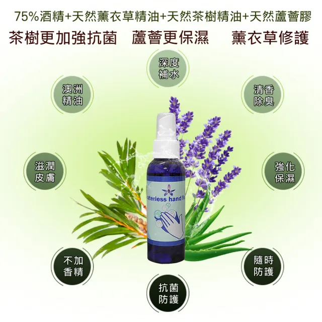 【Body Temple】精油乾洗手噴霧100ml(6件組)