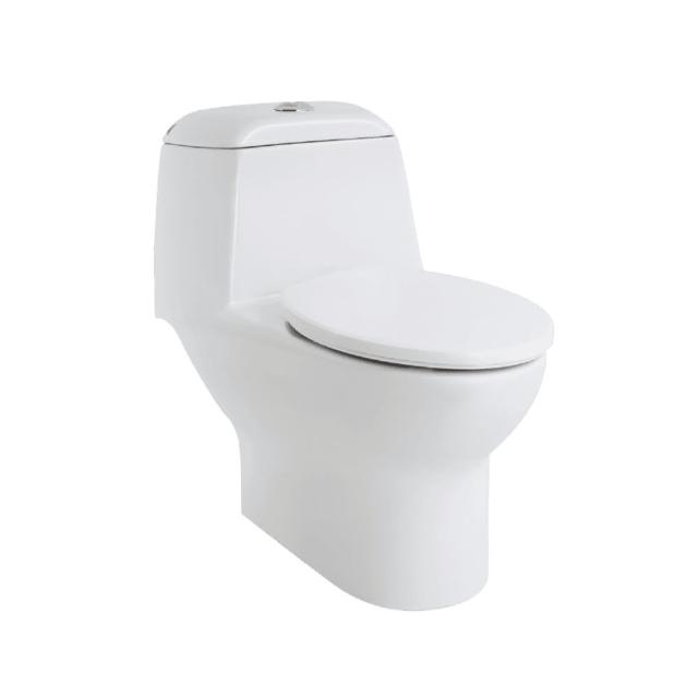 【HCG 和成】二段式上壓省水單體馬桶(C899GMUT 不含安裝)