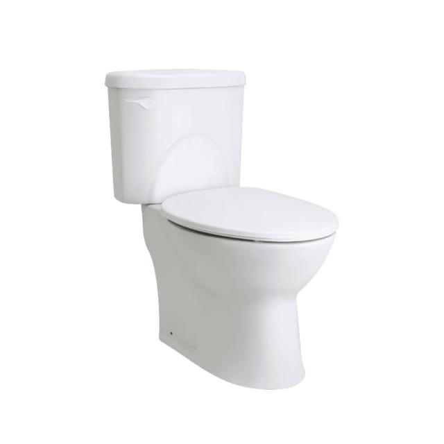 HCG 和成 CS4394Adb 一段式沖水馬桶 30cm 管距 臺灣製造 衛浴潔具 節水耐用