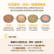 【汪喵星球】狗狗95%無膠主食罐165g*12入-鱉蛋雞肉 / 田園火雞(狗主食罐/犬罐 全齡適用)