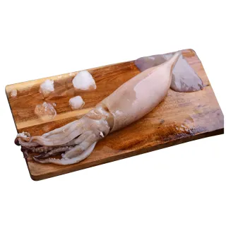 【心鮮】阿根廷野生鮮凍生魷魚32件組(200g-300g/隻)