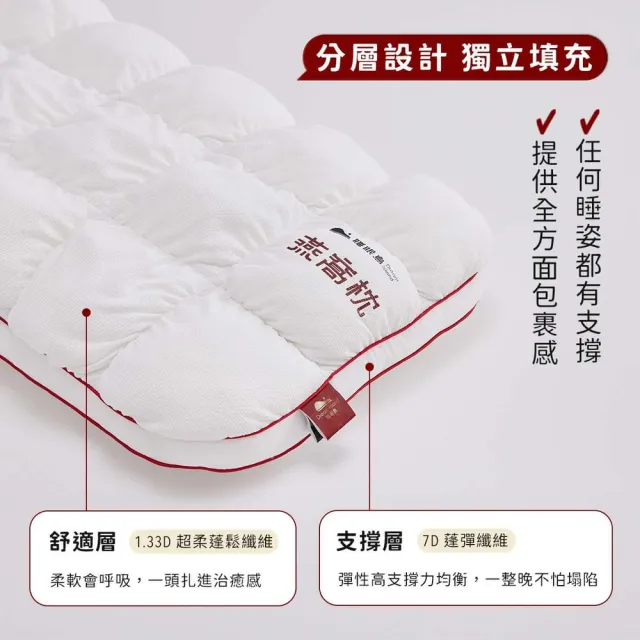 【Dream island 睡眠島】燕窩枕Nest Pillow-超值2入組(枕頭/玻尿酸面料/加大枕面/雙層支撐/睡眠改善)