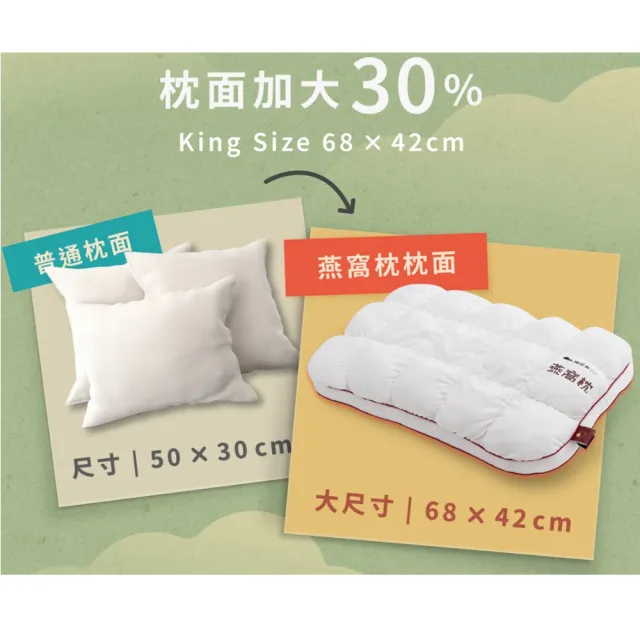 【Dream island 睡眠島】燕窩枕Nest Pillow-超值2入組(枕頭/玻尿酸面料/加大枕面/雙層支撐/睡眠改善)