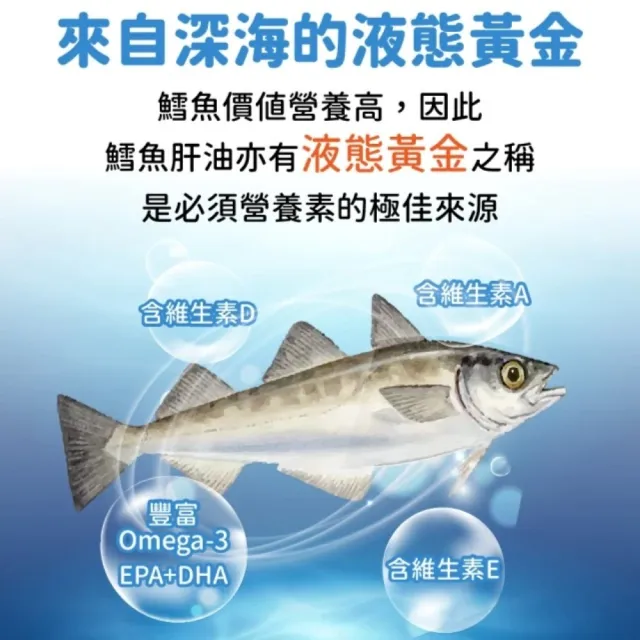 【CaPower 加柏爾】鱈魚肝油軟膠囊（60粒/瓶）(女神伊登推薦)