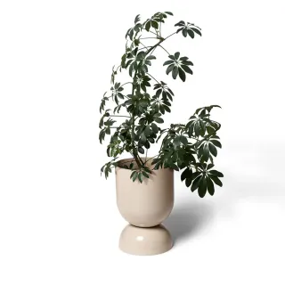 【Lightly】墨爾本 Goblet Ex-Large 酒杯盆(D31.5 H46/有排水孔)