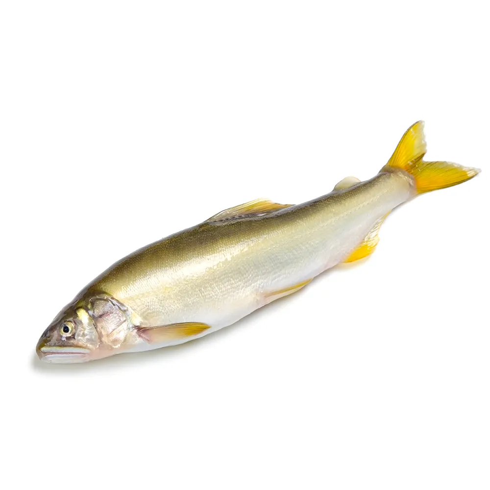 【海鮮主義】母香魚2盒組(9-10隻入/盒)