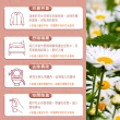 【Amywo艾美窩】羅馬-洋甘菊 純露 花水 100ml(噴霧攜帶瓶)