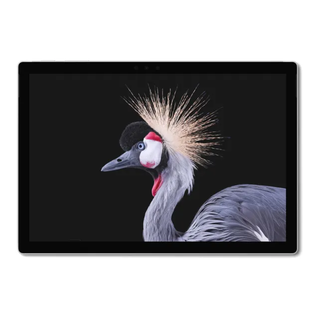 【Microsoft 微軟】A級福利品 12.3吋 二合一平板電腦-銀色(Surface Pro 5/i5-7300U/8G/256GB/W11)