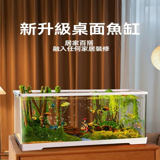【極樂鳥寵物用品旗艦店】亞克力小型魚缸 防撞防耐摔 免換水桌面魚缸 預售12工作天(長30.5*寬18.5*高18.5)(其他規格)