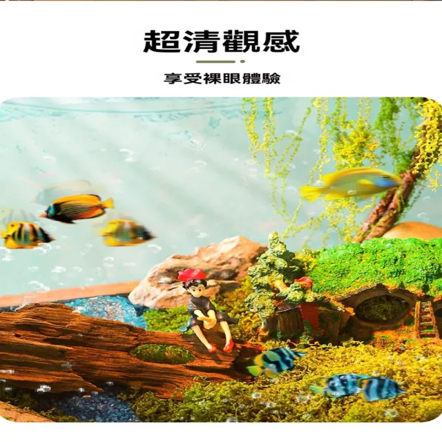 【極樂鳥寵物用品旗艦店】亞克力小型魚缸 防撞防耐摔 免換水桌面魚缸 預售12工作天(長30.5*寬18.5*高18.5)