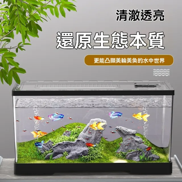 【最萌寵物用品店】客廳小型魚缸 透明亞克力金魚缸 迷你造景桌面缸 預售12工作天(長60*寬30*高29 基礎)