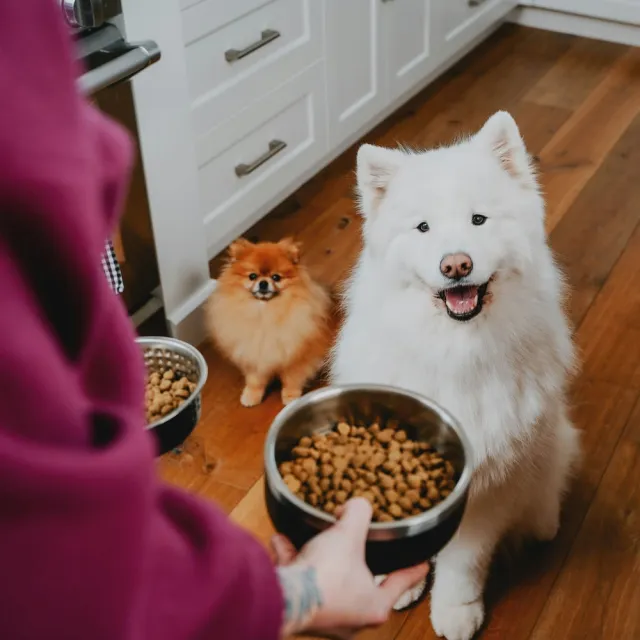【Go!】無穀雞肉 3.5磅 狗狗低脂關節保健系列 成犬配方(狗糧 狗飼料 軟骨素 關節照護 體重控制)
