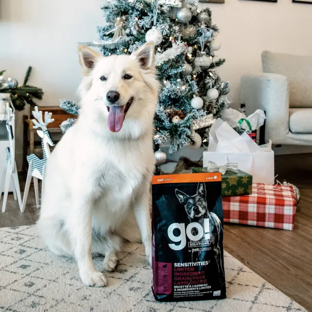 【Go!】低致敏系列 6磅 兩件優惠組 狗狗無穀天然糧(狗糧 狗飼料 小型犬 中型犬 WDJ 腸胃敏感)