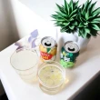 【HAITAI  海太】韓國水梨汁/葡萄汁238ml*12入/盒(#葡萄汁 #水梨汁 #禮盒)