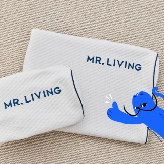 【MR. LIVING 居家先生】護頸減壓蝶型記憶枕-專用枕頭套(不適用於一般枕頭)