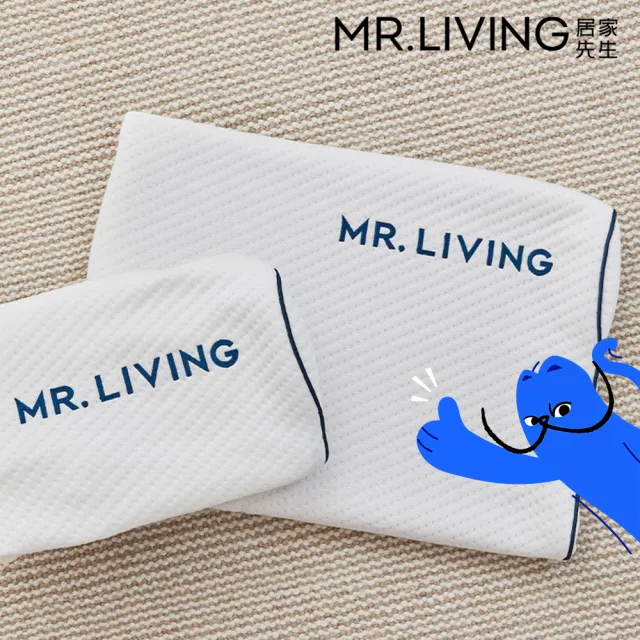 【MR. LIVING 居家先生】護頸減壓蝶型記憶枕-專用枕頭套(不適用於一般枕頭)