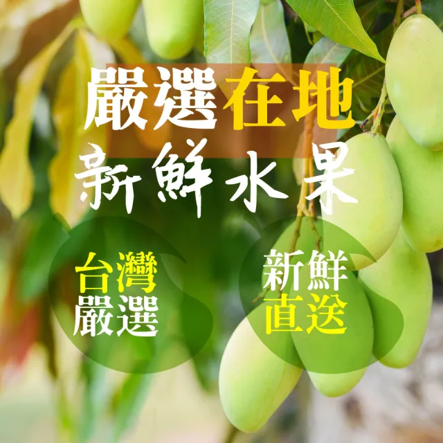 【甜園】情人果乾 120gx12包(★無糖情人果乾★梅香情人果乾★夏日必備果乾★酸V酸V)