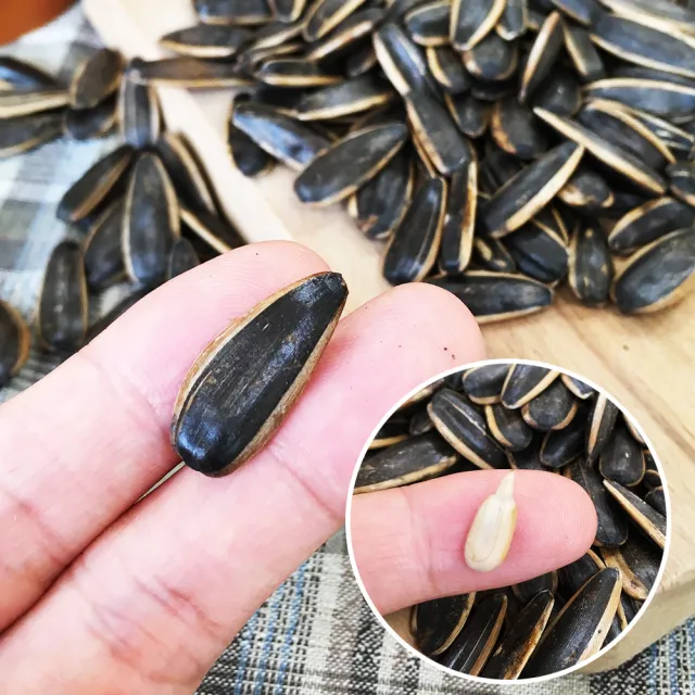 【盛香珍】豐葵香瓜子重量包3kgX2包組(焦糖/日月潭紅茶/桂圓紅棗風味/海鹽-4口味任選)