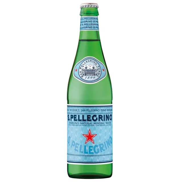 【S.Pellegrino 聖沛黎洛】天然氣泡礦泉水玻璃瓶裝500mlx24入/箱(進口氣泡水/官方直營)