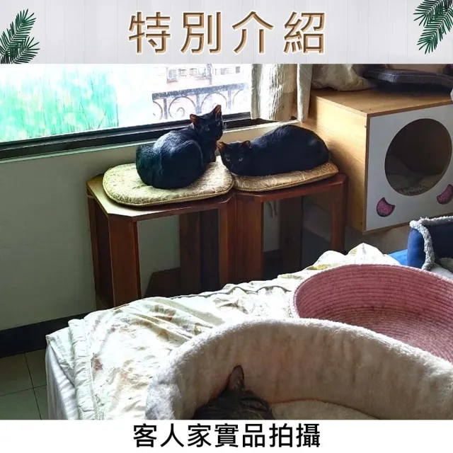【吉迪市柚木家具】柚木寵物貓爬架 LT-079C(貓屋 貓窩 貓床 貓跳台 貓爬架 貓睡床 貓窩一體 寵物睡窩)