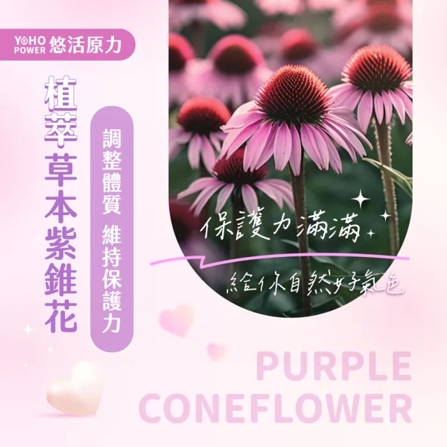 【悠活原力】悠活維生素C+鋅+紫錐花口含錠 鳳梨蘋果口味(28錠/包 )