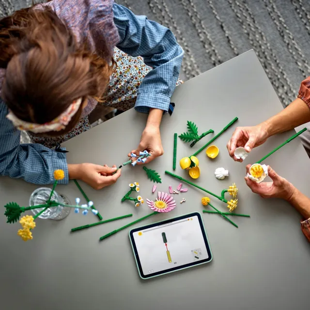 【LEGO 樂高】Botanicals 10347 燦爛小花束(花藝 居家擺設 積木 兒童玩具)