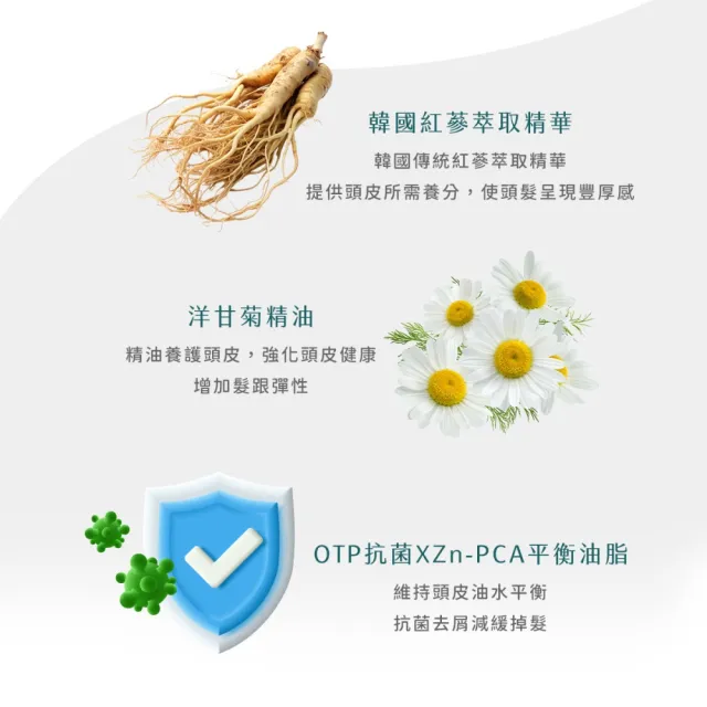 【SH-RD 史高師設】紅蔘豐髮活化洗髮精200ml(滋養活絡頭皮、豐髮活化、強健髮根、頭皮洗髮精)