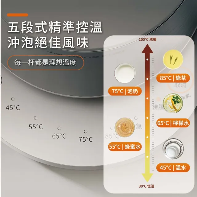 【JOYOUNG 九陽】醫療級316無縫一體內膽溫控輕音快煮壺(W17N-KE4G)