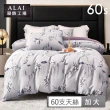 【ALAI 寢飾工場】60支100%萊賽爾天絲6尺床包兩用被組(加大 多色任選/300織/100%蘭精天絲萊賽爾)