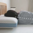 【MR. LIVING 居家先生】買一送一 涼感減壓記憶枕 枕頭 60*40*14cm(透氣涼感 雙面設計 可拆洗)